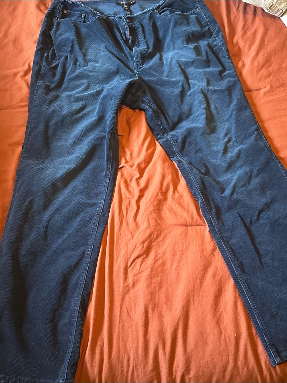 Venezia Corduroy Relaxed Pants, Plus Size, Tall, 22T